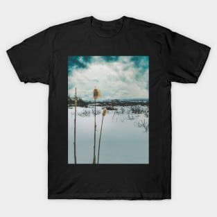 Winter's Dramatic Ballet V3 T-Shirt